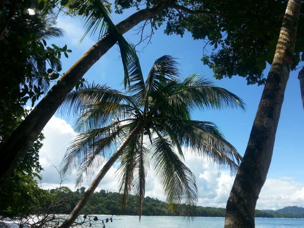 Mar Verde Lodge Puerto Viejo de Talamanca Εξωτερικό φωτογραφία
