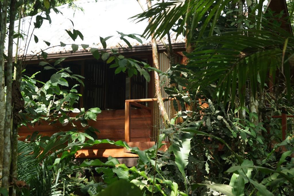 Mar Verde Lodge Puerto Viejo de Talamanca Δωμάτιο φωτογραφία