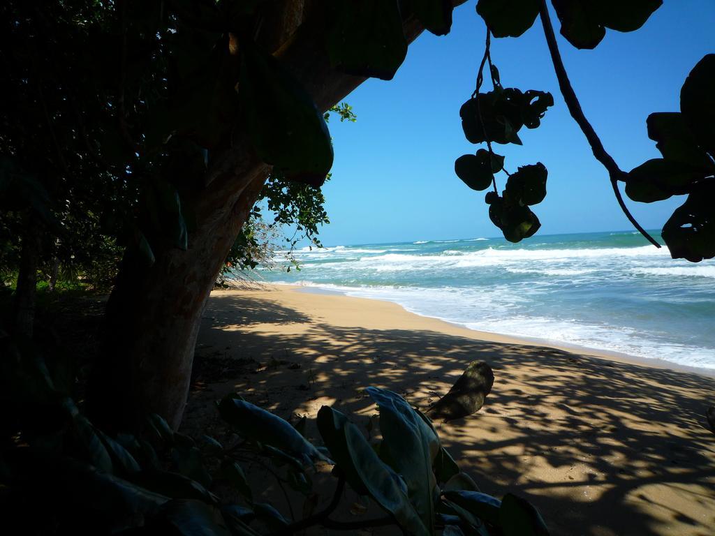 Mar Verde Lodge Puerto Viejo de Talamanca Εξωτερικό φωτογραφία