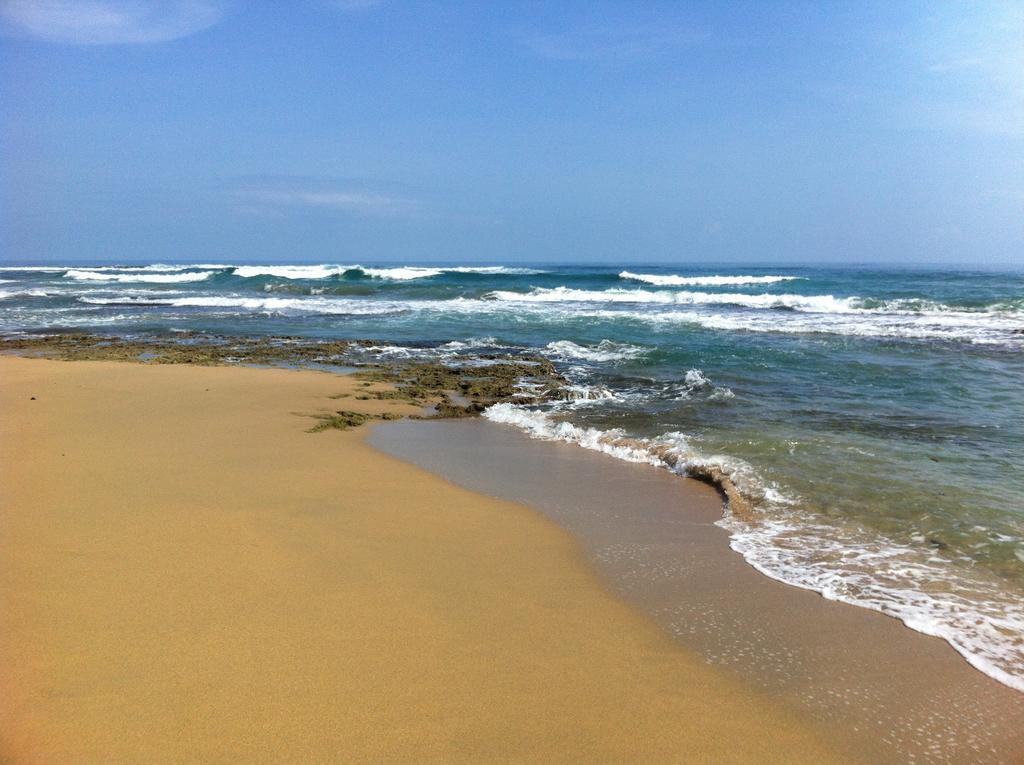 Mar Verde Lodge Puerto Viejo de Talamanca Εξωτερικό φωτογραφία