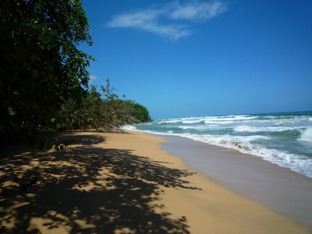 Mar Verde Lodge Puerto Viejo de Talamanca Εξωτερικό φωτογραφία