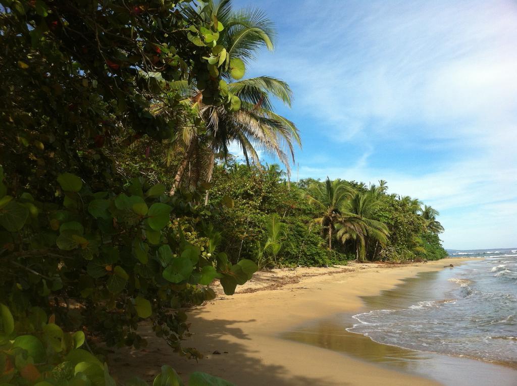 Mar Verde Lodge Puerto Viejo de Talamanca Εξωτερικό φωτογραφία