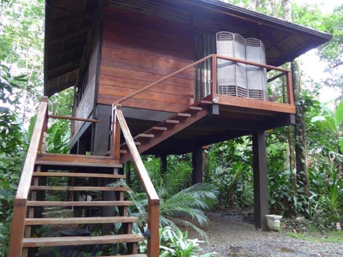 Mar Verde Lodge Puerto Viejo de Talamanca Εξωτερικό φωτογραφία