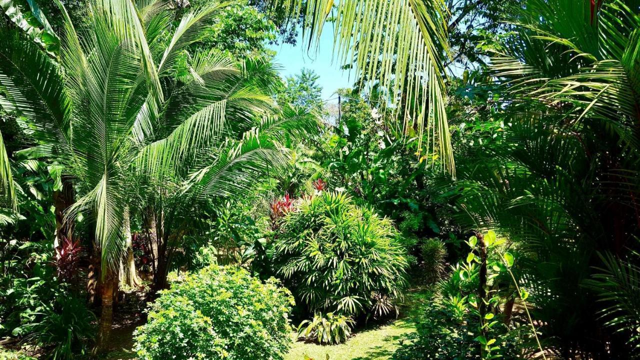 Mar Verde Lodge Puerto Viejo de Talamanca Εξωτερικό φωτογραφία
